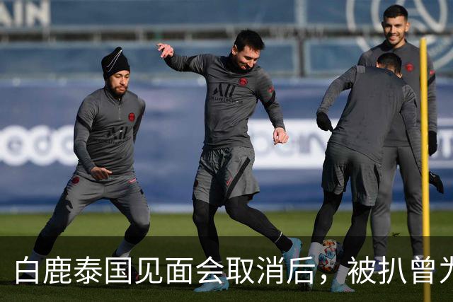 白鹿泰国见面会取消后，被扒曾为缅北拍宣传片，知情人爆更多内幕